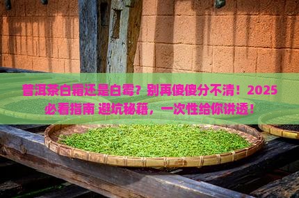 普洱茶白霜和白霉