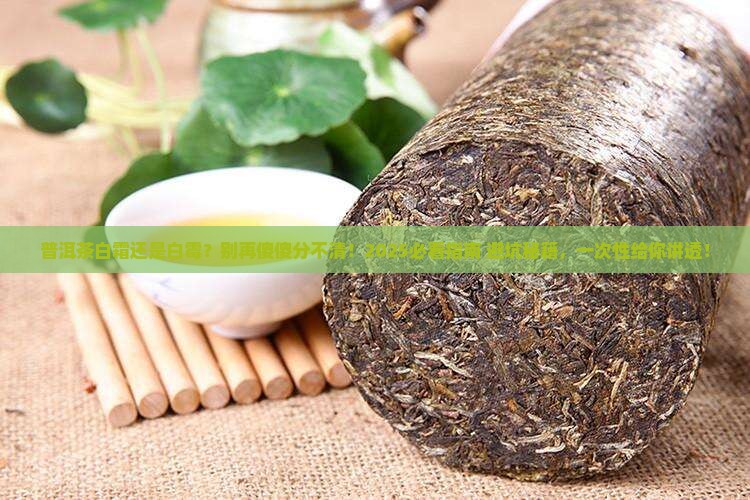 普洱茶白霜和白霉