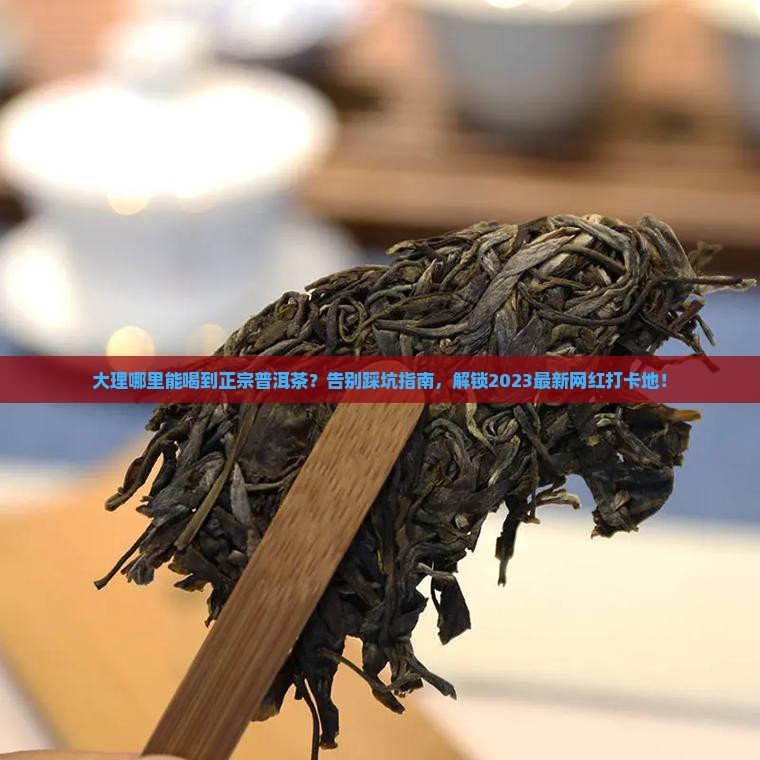 大理哪里能喝普洱茶的