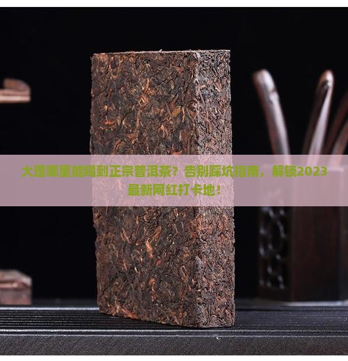 大理哪里能喝普洱茶的