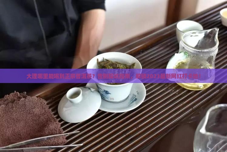 大理哪里能喝普洱茶的