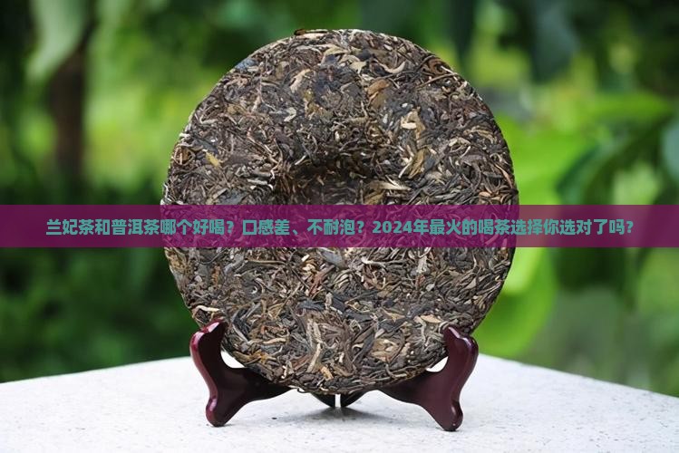 兰妃茶和普洱茶哪个好喝