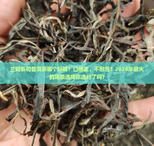 兰妃茶和普洱茶哪个好喝