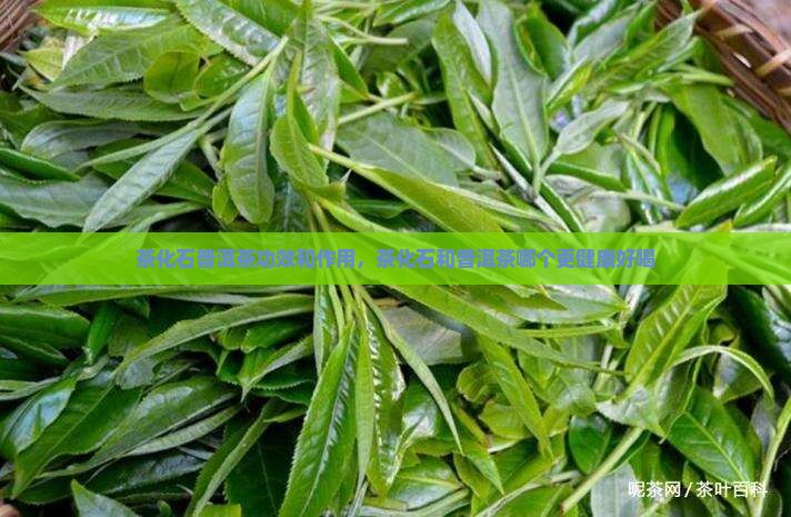 茶化石普洱茶功效和作用