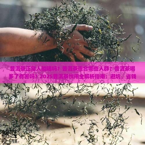 普洱茶正常人能喝吗吗