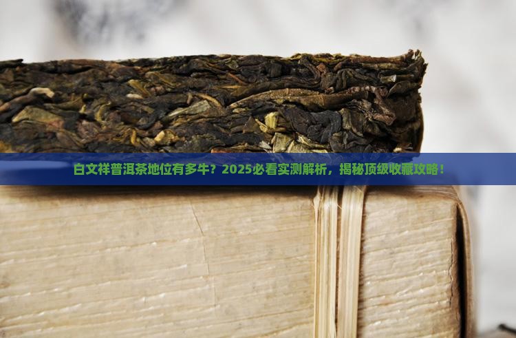 白文祥普洱茶的地位