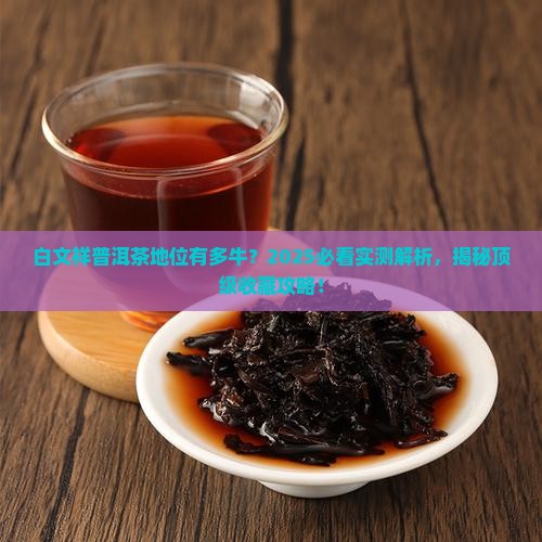 白文祥普洱茶的地位