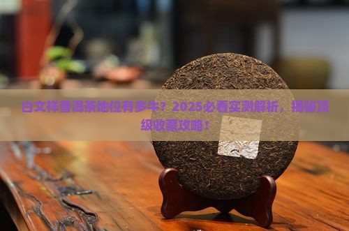 白文祥普洱茶的地位