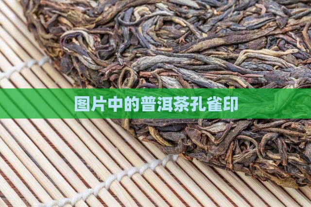老普洱茶孔雀印