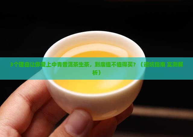 中青普洱茶生茶