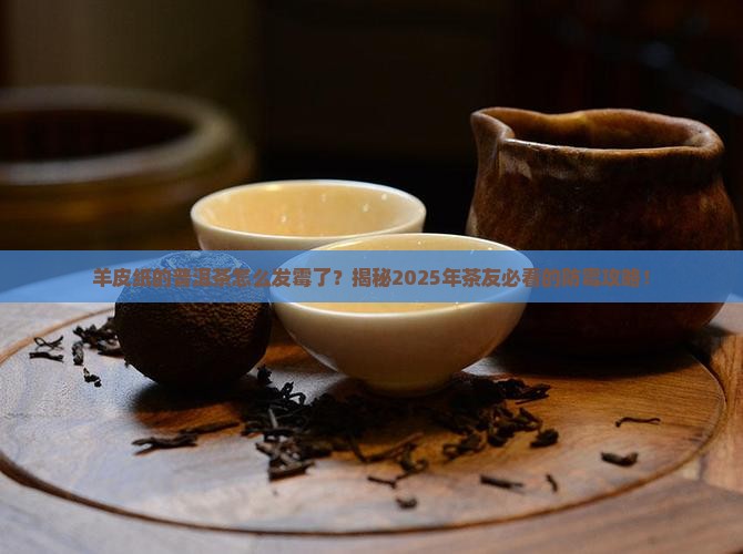 羊皮纸的普洱茶有霉