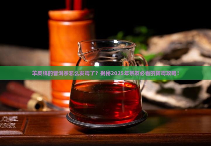 羊皮纸的普洱茶有霉