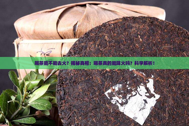 喝茶能不能去火