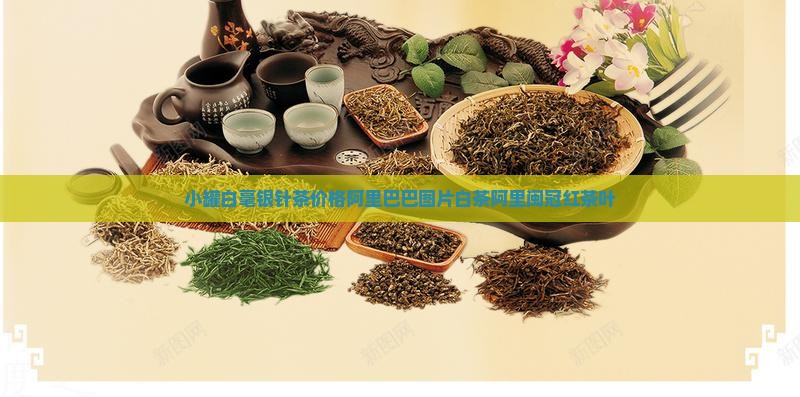 小罐白毫银针茶价格闽冠红茶叶