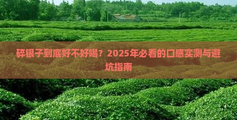 碎银子什么味道的好