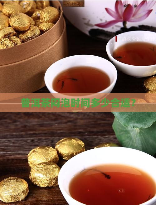 普洱茶闷泡几分钟