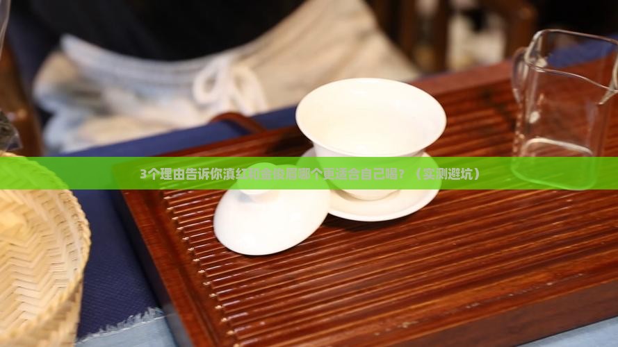 滇红和金俊眉哪个茶好喝