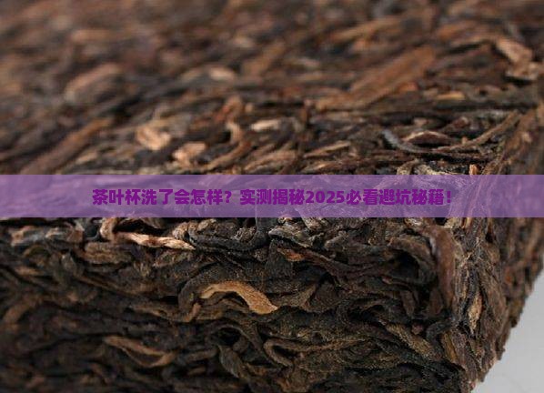 茶叶杯为什么不能洗