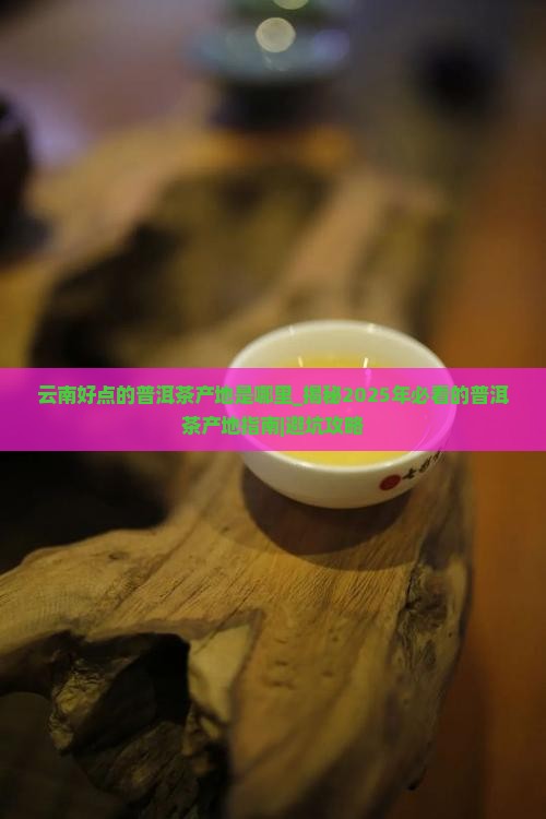 云南好点的普洱茶产地是哪里