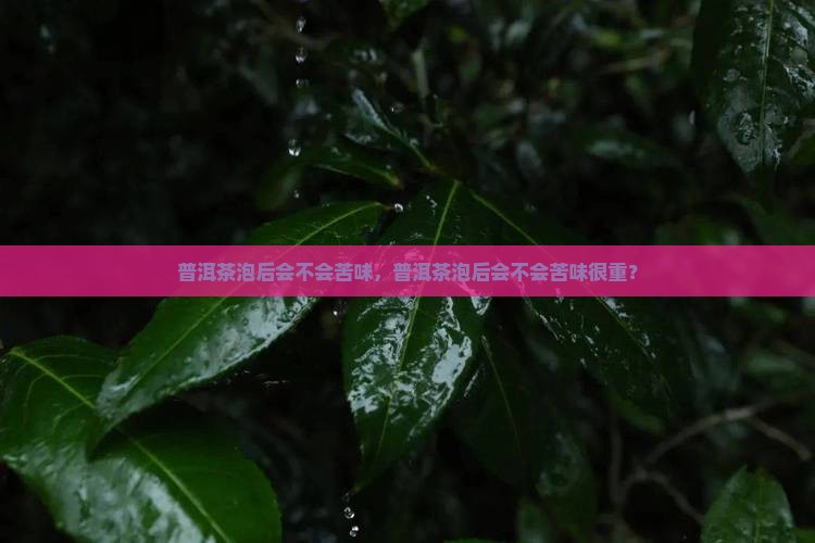 普洱茶泡后会不会苦味