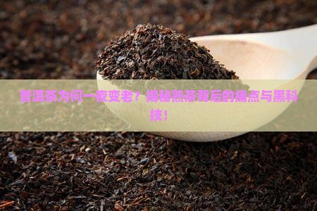 普洱茶为什么变成熟茶了