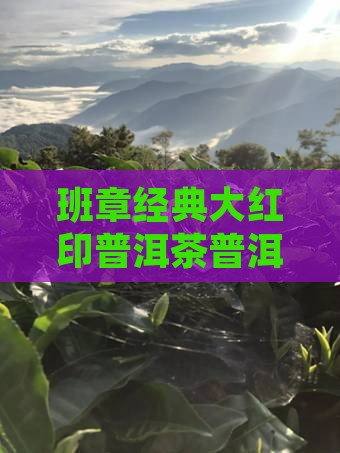 班章经典大红印普洱茶