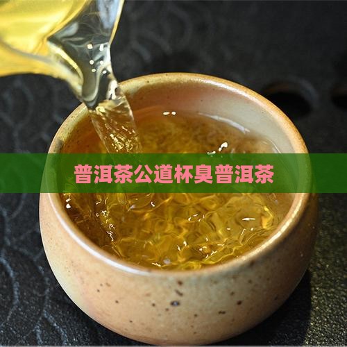 普洱茶公道杯臭
