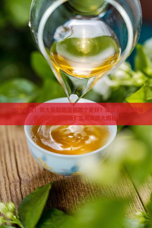 黄大茶和普洱茶哪个好