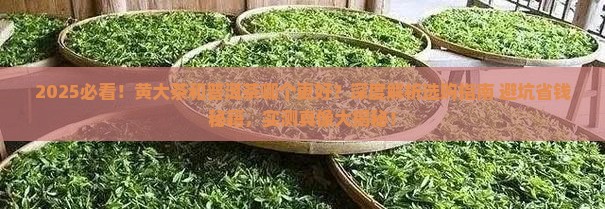 黄大茶和普洱茶哪个好