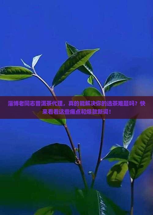 淄博老同志普洱茶代理