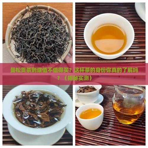 曼松贡茶属于什么档次