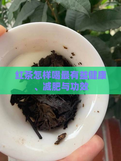红茶怎样喝最有益