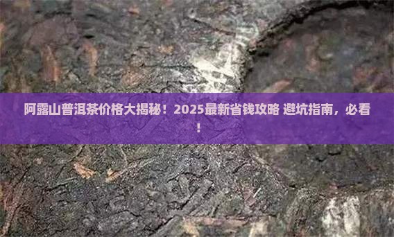 阿露山普洱茶价格