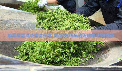 麻黑寨普洱茶盛德光绪