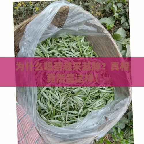 为什么喝茶越来越胖