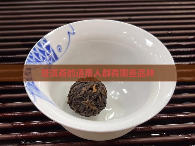 普洱茶的适用人群有哪些品种