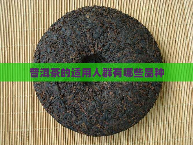普洱茶的适用人群有哪些品种