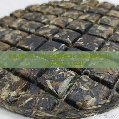 小种属于普洱茶