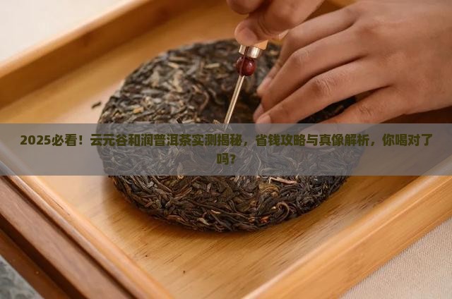 云元谷和润普洱茶