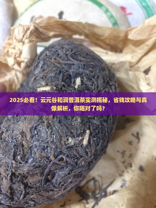 云元谷和润普洱茶