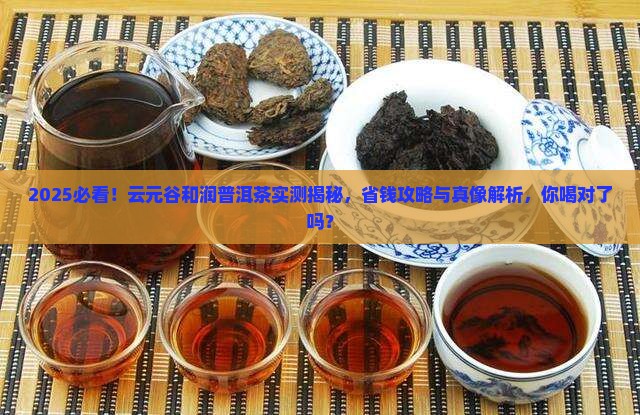 云元谷和润普洱茶
