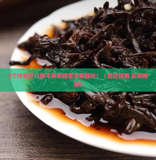 普洱茶鲜叶冷吗