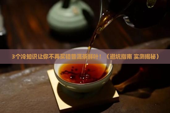 普洱茶鲜叶冷吗