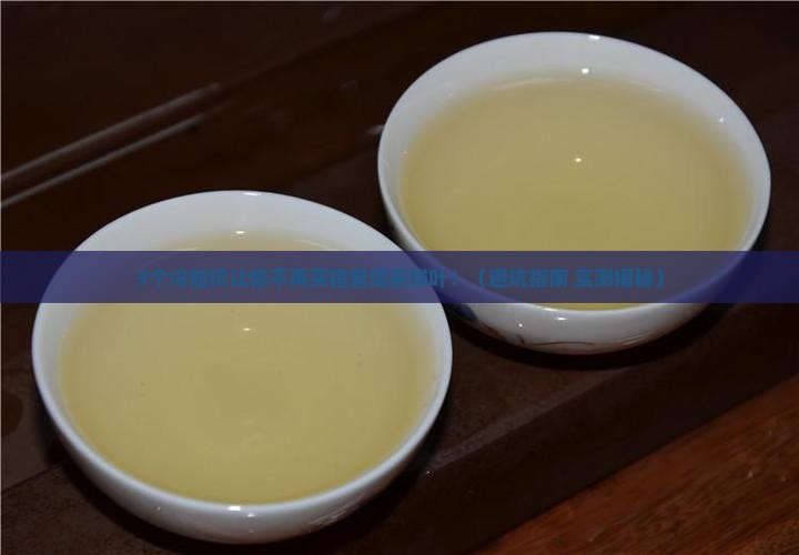 普洱茶鲜叶冷吗