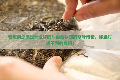普洱茶原来是什么样的