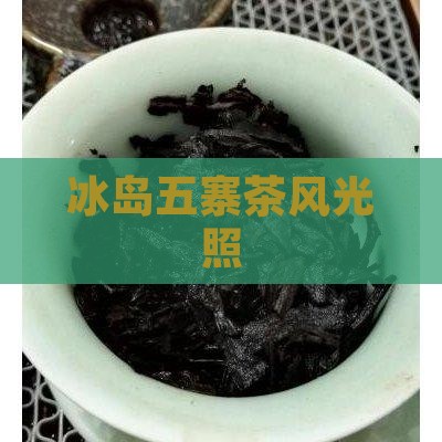冰岛五寨茶照片