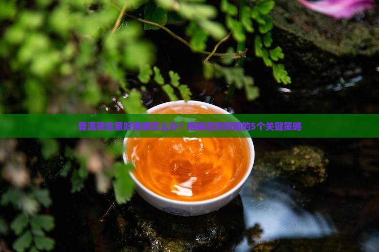 普洱茶生意好难做怎么办