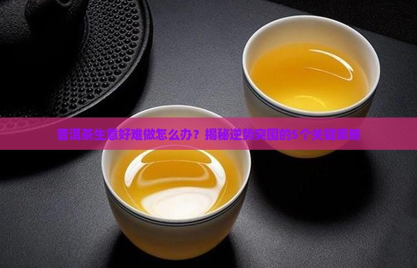 普洱茶生意好难做怎么办