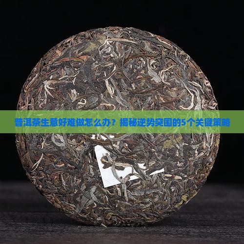 普洱茶生意好难做怎么办