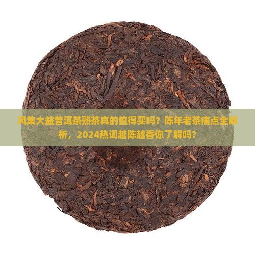 风集大益普洱茶熟茶